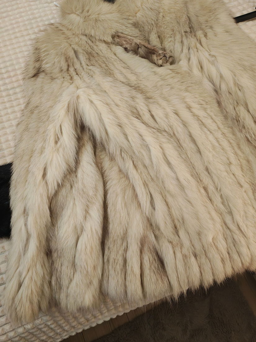 Haina blana vulpe polara