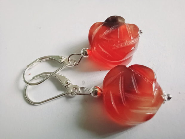 Minunatele Agate - Florile Toamnei