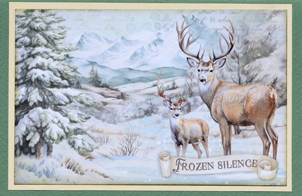 Felicitare: Frozen Silence