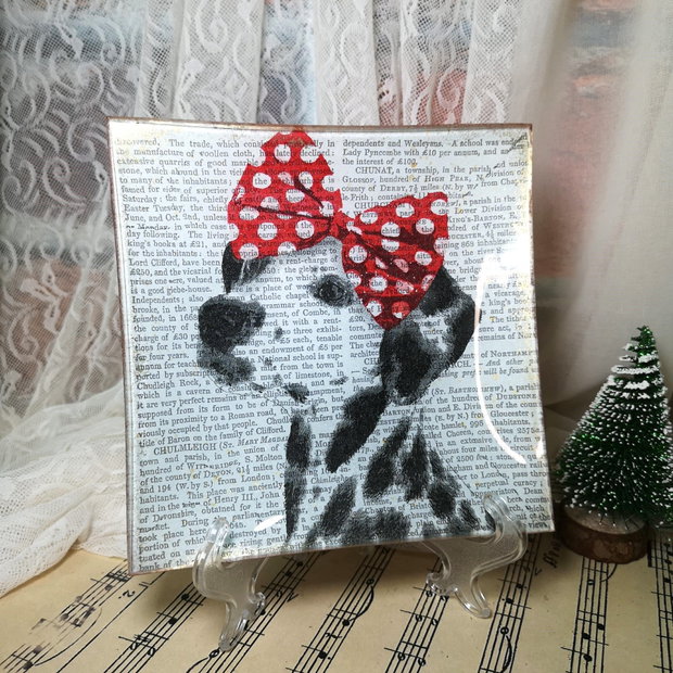 Catelușa Minnie Chic, pe farfurie de sticlă