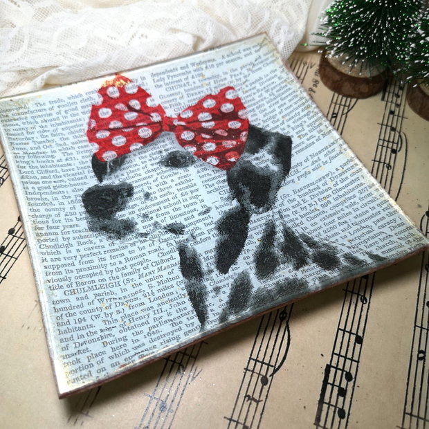 Catelușa Minnie Chic, pe farfurie de sticlă