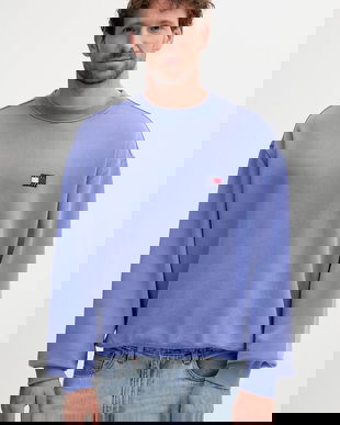 Tommy Jeans hanorac de bumbac cu imprimeu, DM0DM22079