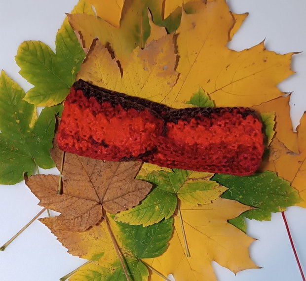 Cardigan+cadou bentiță