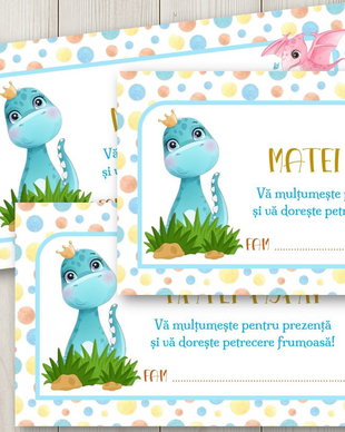 Plic de bani botez Dino
