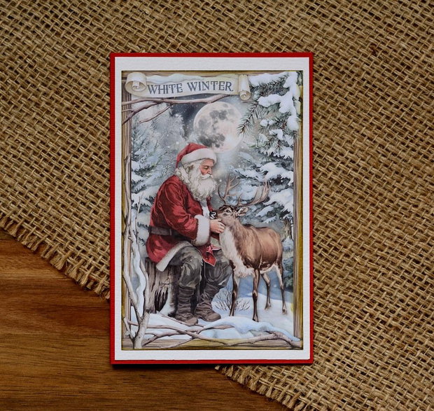 Felicitare: White Winter