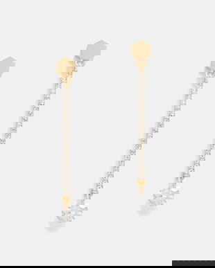 Dkny cercei 04G00872