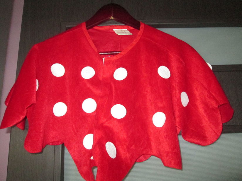 costumatie ciupercuta