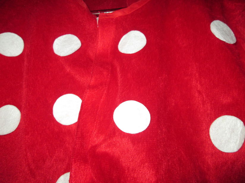 costumatie ciupercuta