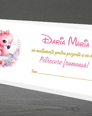 Plicuri  bani  botez fetițe Flamingo