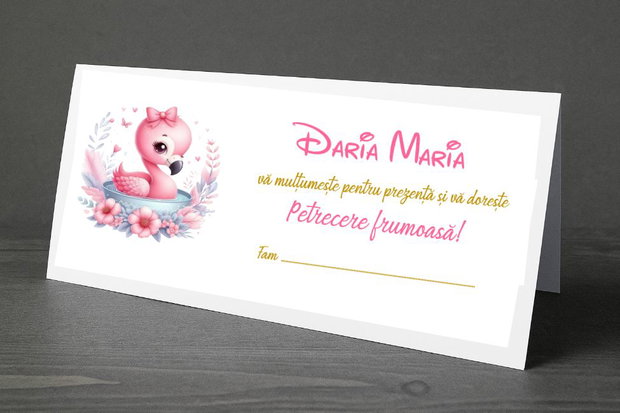 Plicuri bani botez fetițe Flamingo