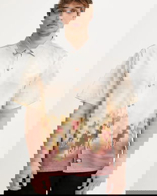 Dickies cămașă din bumbac culoarea gri, cu guler clasic, relaxed, DK0A8676K411