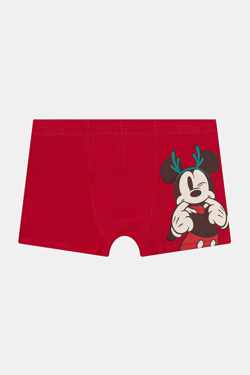 United Colors of Benetton boxeri culoarea bordo, 3MC12X01S