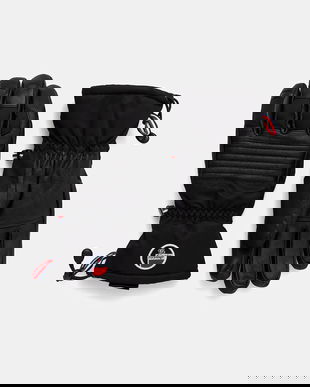 Fusalp mănuși de schi Albinen culoarea negru, O3742