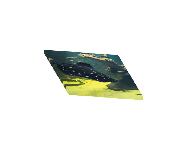 Design & Print poster canvas (listă prețuri pe dimensiuni)