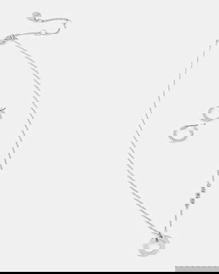 Dkny colier și cercei 04S00102