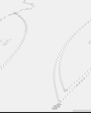 Dkny colier și cercei 04S00104