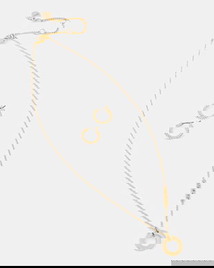 Dkny colier și cercei 04S00101