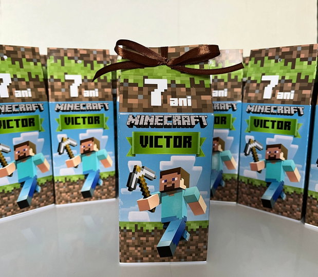 Cutii Minecraft personalizate