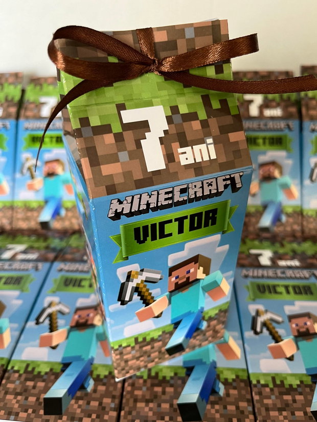 Cutii Minecraft personalizate