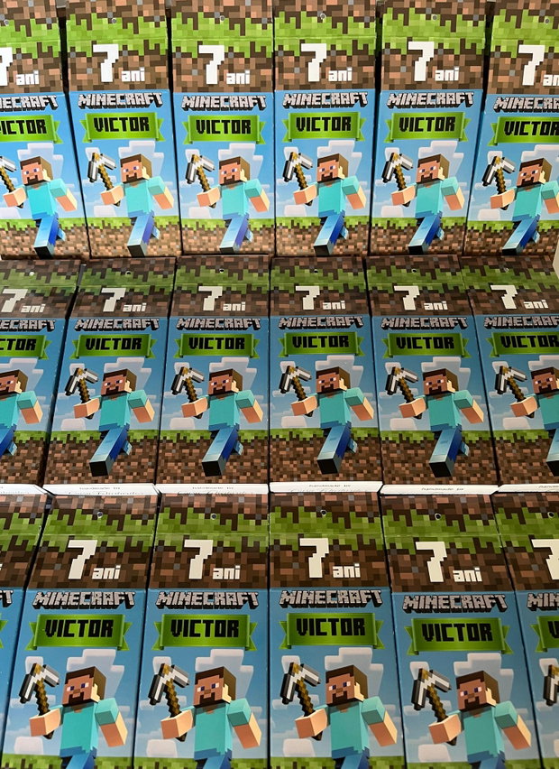 Cutii Minecraft personalizate