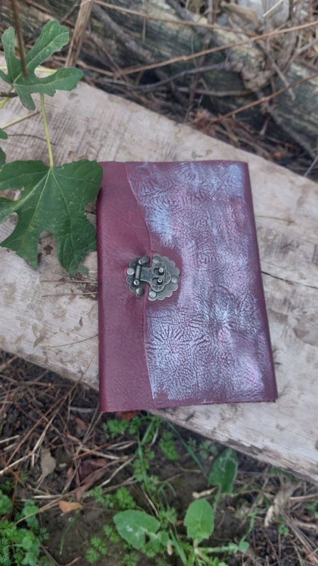 Agenda cu coperta din piele naturala