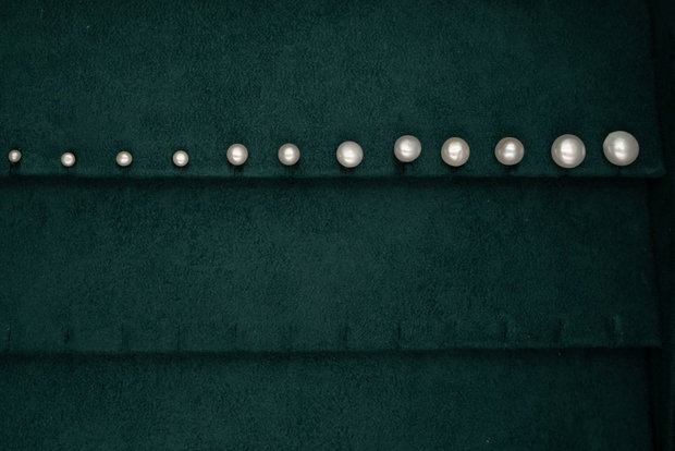 Cercei tip stud cu perla de cultura 4mm