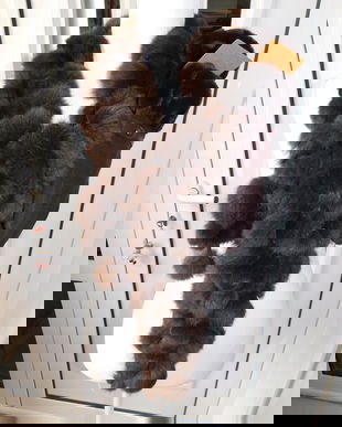 Sal blana naturala iepure. superb, manusi  noi asortate , cadou