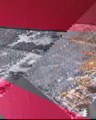 traversa eleganta  de iarna