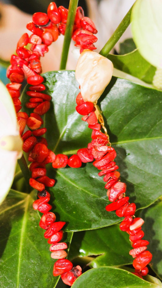 Colier handmade din cipsuri din coral si o margea din scoica