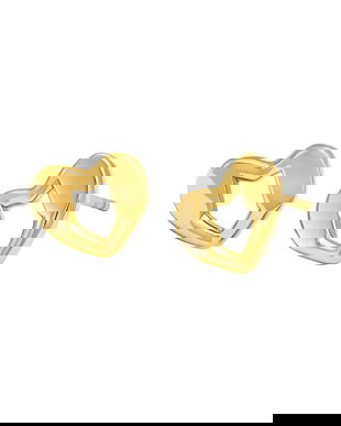 Michael Kors cercei de argint