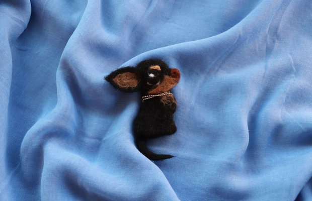 Brosa/decor `Chihuahua`