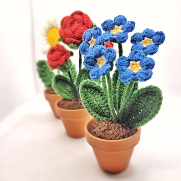 Floare de nu-ma-uita
