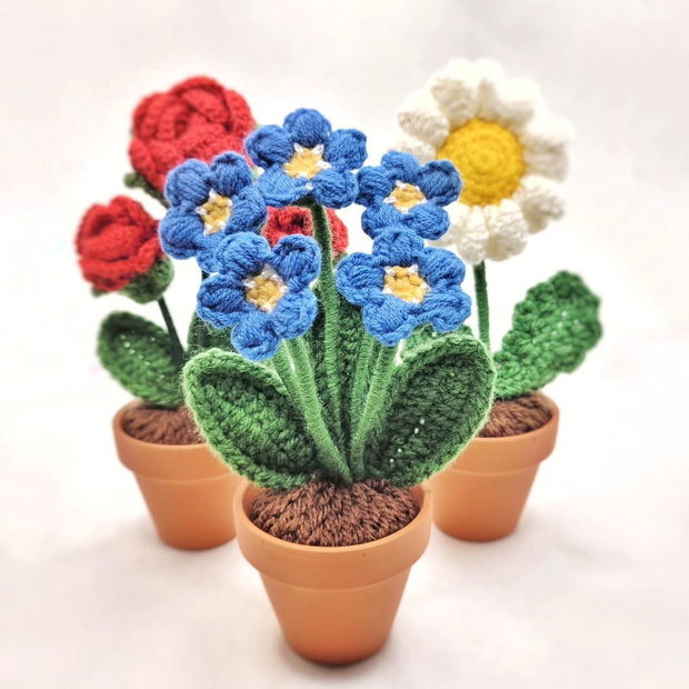 Floare de nu-ma-uita
