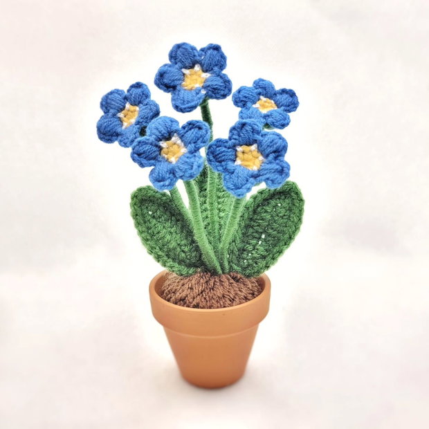 Floare de nu-ma-uita
