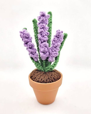 Lavanda in ghiveci
