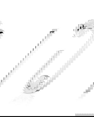 Tous cercei de argint