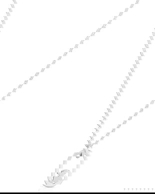 Tous colier de argint