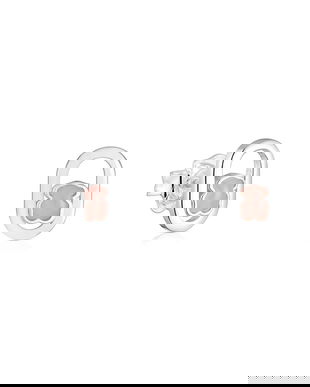 Tous cercei de argint