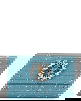 Kurt Geiger London poșetă