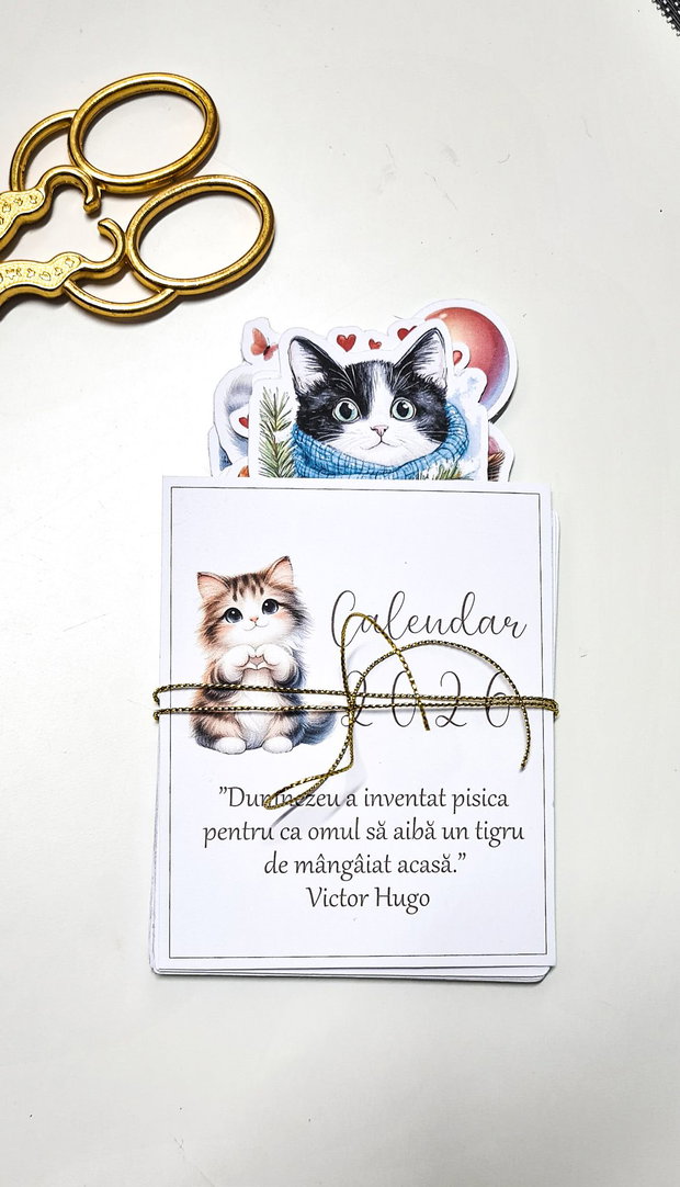 Calendar 2026 cu pisicute