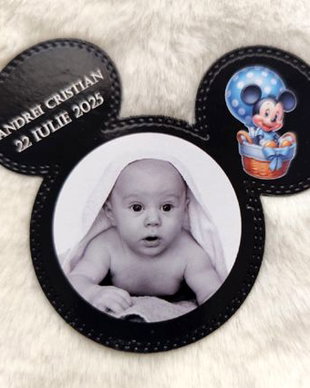 Mărturii magnetice Mickey decupate 01