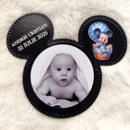 Mărturii magnetice Mickey decupate 01