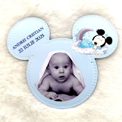Mărturii magnetice Mickey decupate 02