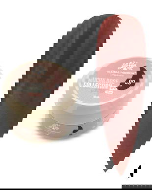 Gel pentru modelarea unghiilor 15 gr, Mocha Rose Builder Gel 09