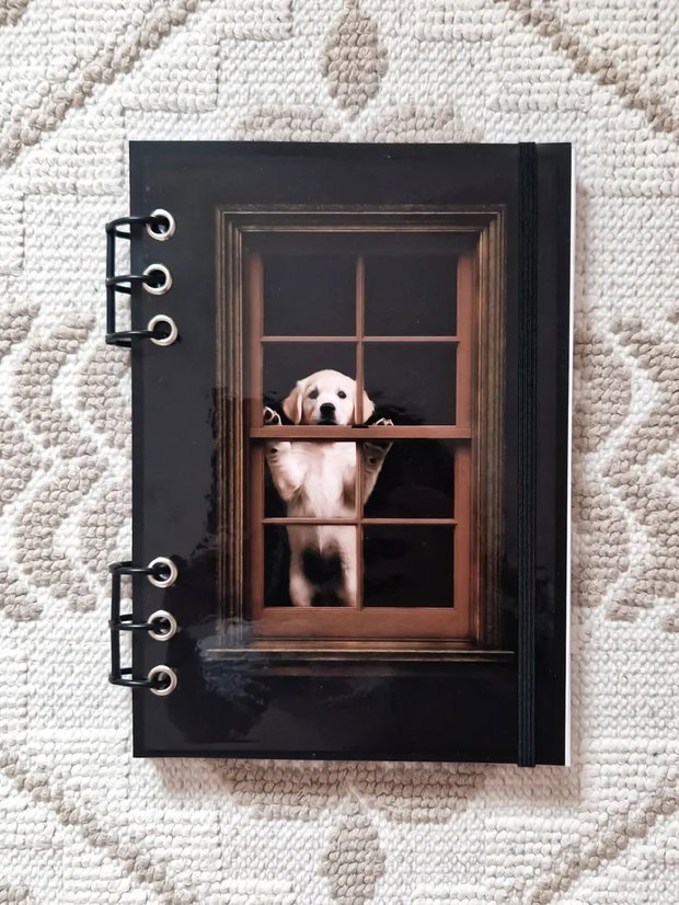 CAIET MECANIC A5 cu Refill Rezerve Foi - Golden Retriever la Fereastra