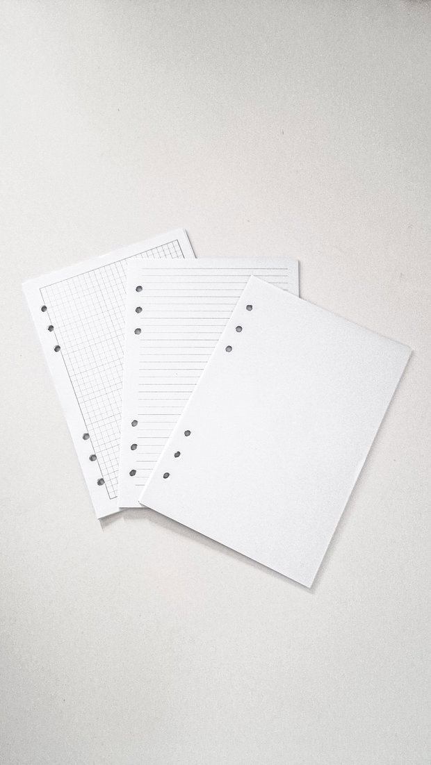 FOI PERFORATE A5 - Set 20 Rezerve Caiete Mecanice Ethnoloop/Leitz