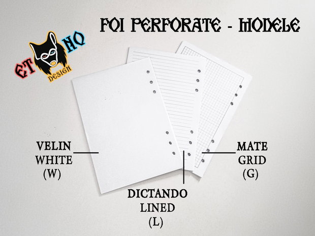 FOI PERFORATE A5 - Set 20 Rezerve Caiete Mecanice Ethnoloop/Leitz