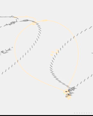 Coach colier si cercei