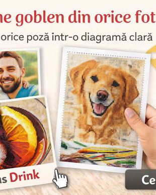 Diagrame personalizate goblenuri