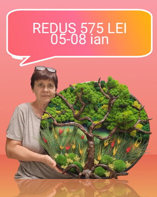 Tablou cu licheni si muschi